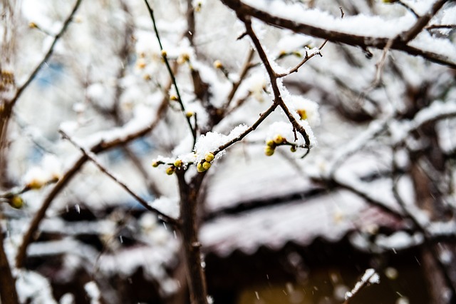 现并不能完